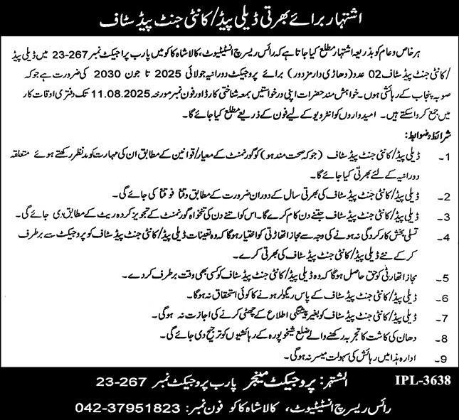 Rice Research Institute Kala Shah Kaku Jobs 2025 Jobs 2025 — original advertisement