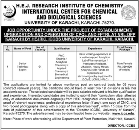 ICCBS University Of Karachi Technical Expert Jobs 2025 Jobs 2025 — original advertisement