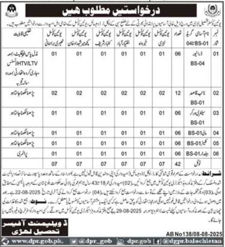 Union Council Tehsil Lehri Balochistan Jobs 2025 Jobs 2025 — original advertisement