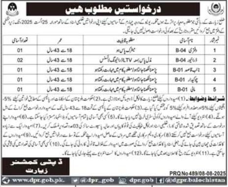 Deputy Commissioner Office Ziarat Jobs 2025 – Revenue Department Balochistan Jobs 2025 — original advertisement