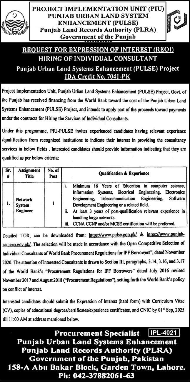 Punjab Land Records Authority PLRA Lahore Jobs 2025 Jobs 2025 — original advertisement
