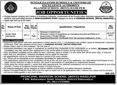 Punjab Daanish Schools Hasilpur Job 2025 Jobs 2025 — original advertisement