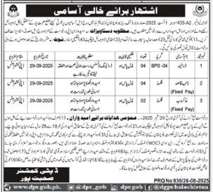 Deputy Commissioner Sohbatpur Jobs 2025 – Revenue Department Balochistan Jobs 2025 — original advertisement