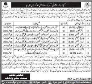 Health Department District Waskhuk Balochistan Job Interview – Health Department Balochsitan Jobs 2025 — original advertisement