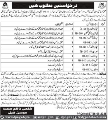 Health Department Musakhel Balochistan Jobs 2025 – Health Department Balochsitan Jobs 2025 — original advertisement