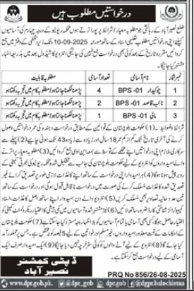 Deputy Commissioner Distrcit Nasirabad Jobs 2025 – Revenue Department Balochistan Jobs 2025 — original advertisement