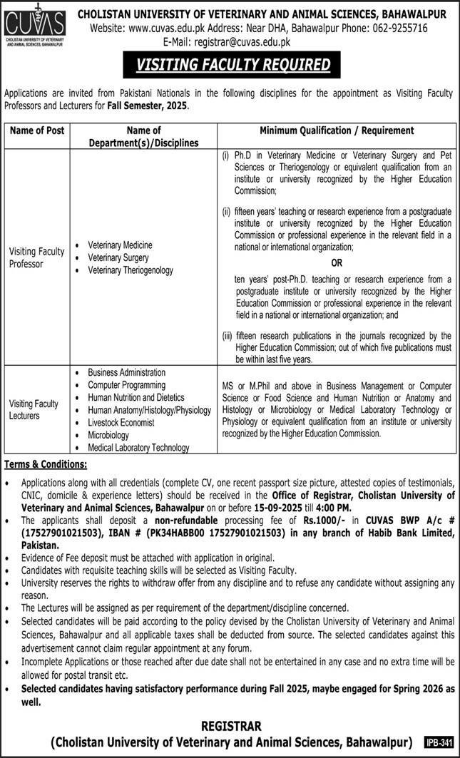 Cholistan University Of Veterinary CUVAS Bahawalpur Jobs – Cholistan University of Veterinary and Animal Sciences Bahawalpur Jobs 2025 — original advertisement