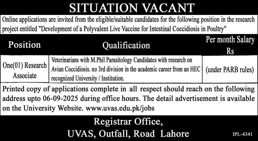 University Of Veterinary & Animal Sciences UVAS Jobs 2025 – University of Veterinary and Animal Sciences Lahore Jobs 2025 — original advertisement