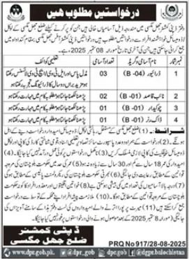 Deputy Commissioner Office Magsi Jobs 2025 – Revenue Department Balochistan Jobs 2025 — original advertisement