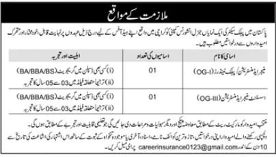 Public Sector Organization Sindh Jobs 2025 Jobs 2025 — original advertisement