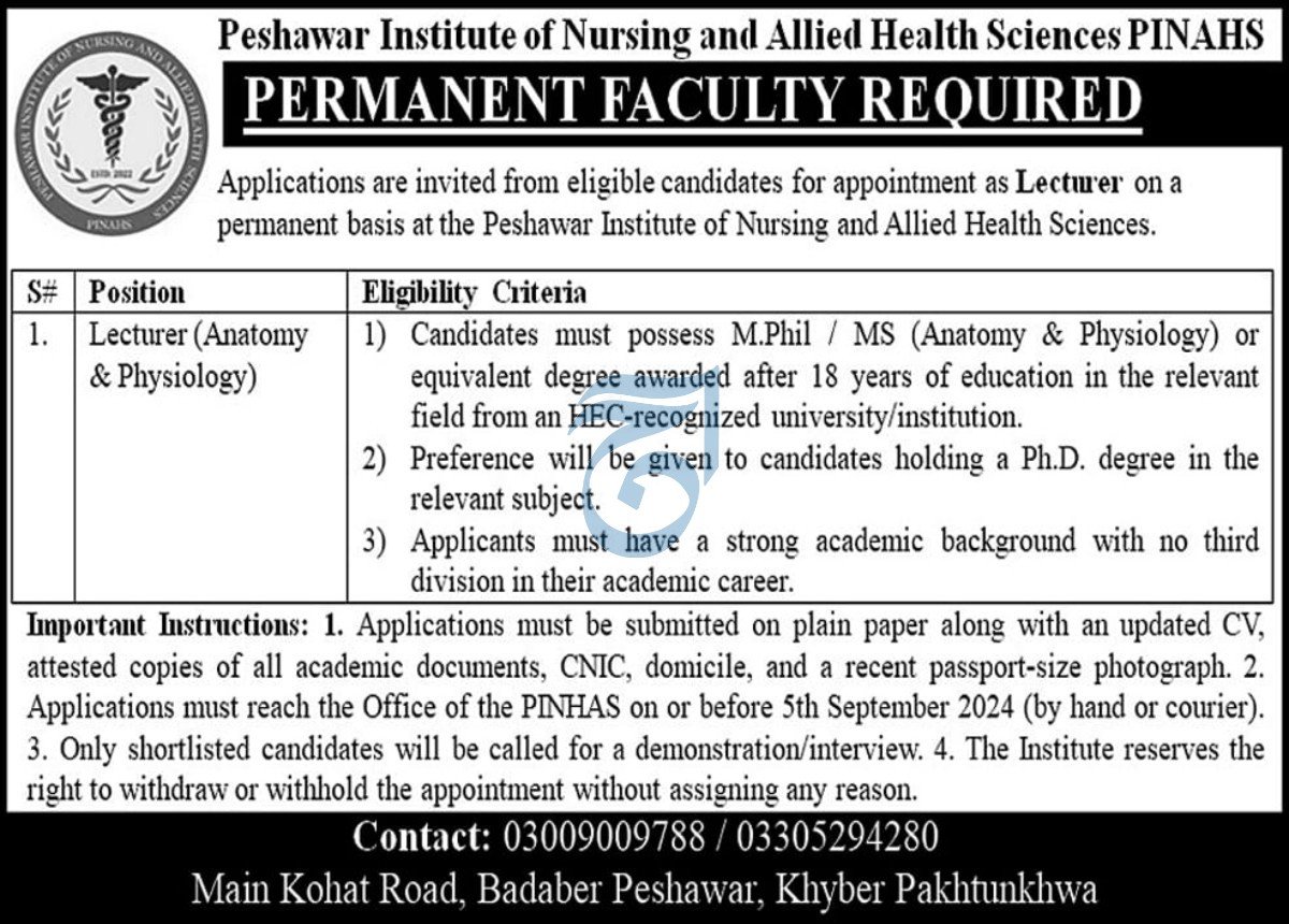Peshawar Institute Of Nursing & Allied Health Sciences Jobs – Peshawar Institute of Medical Sciences Peshawar Jobs 2025 — original advertisement