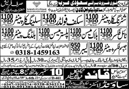 Shuttering Carpenter & Building Painter Jobs 2025 – Sound Lines Recruiting Promotion Jobs 2025 — original advertisement