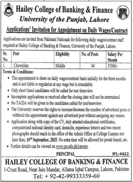 Hailey College Of Banking & Finance Lahore Job 2025 – University of Punjab Jobs 2025 — original advertisement