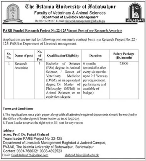 The Islamia University Of Bahawalpur Job 2025 – Islamia University Bahawalpur Jobs 2025 — original advertisement