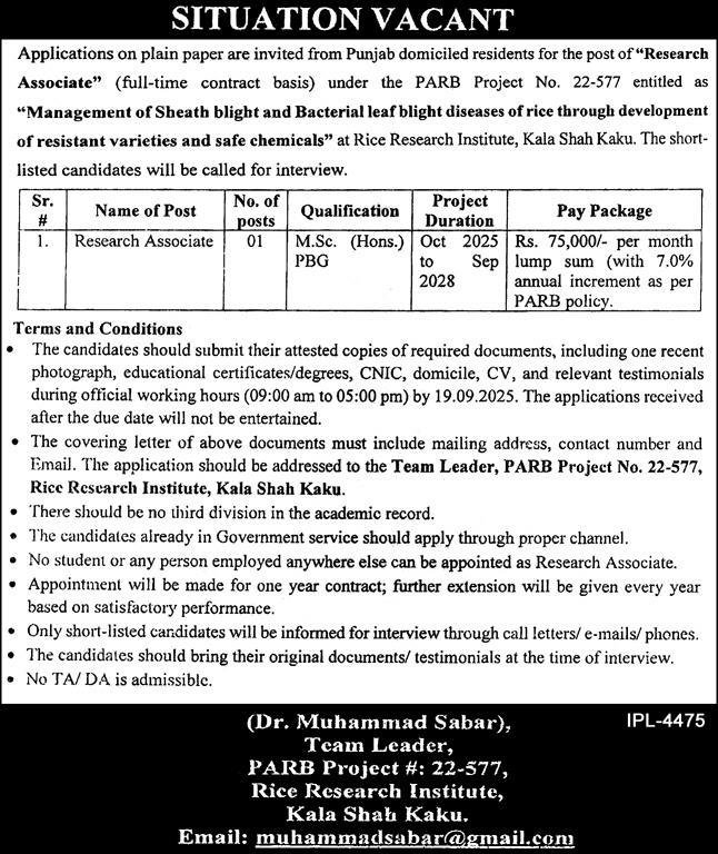 Rice Research Institute Kala Shah Kaku Jobs 2025 – Agriculture Department Punjab Jobs 2025 — original advertisement