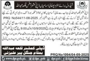 Deputy Commissioner DC Office Killa Abdullah Interviews 2025 – Revenue Department Balochistan Jobs 2025 — original advertisement