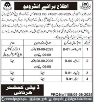 Revenue Department Harnai Jobs Interview 2025 – Revenue Department Balochistan Jobs 2025 — original advertisement