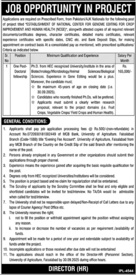 University Of Agriculture UAF Faisalabad Job 2025 – University of Agriculture Faisalabad Jobs 2025 — original advertisement