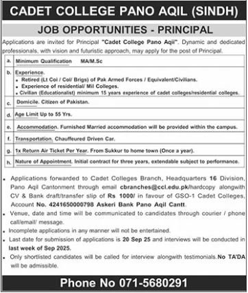 Cadet College Pano Aqil Jobs 2025 Jobs 2025 — original advertisement