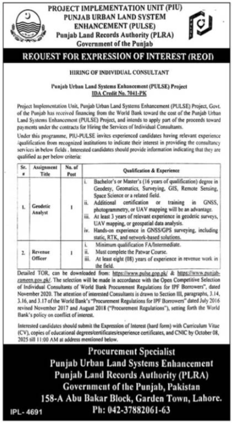 Punjab Land Records Authority PLRA Lahore Jobs 2025 Jobs 2025 — original advertisement
