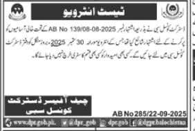 District Council Sibi Jobs Test Interview 2025 Jobs 2025 — original advertisement