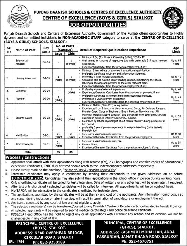 Punjab Daanish Schools Sialkot Jobs 2025 Jobs 2025 — original advertisement