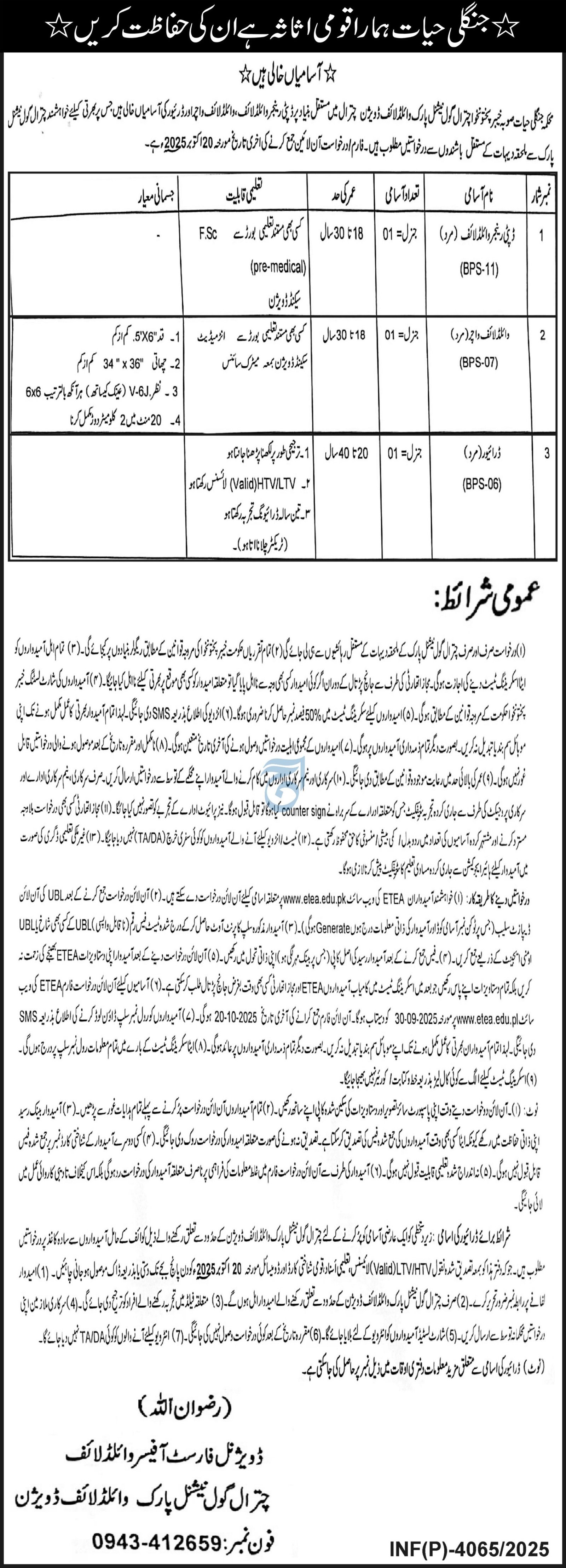 Forest Department Khyber Pakhtunkhwa Jobs 2025 Jobs 2025 — original advertisement