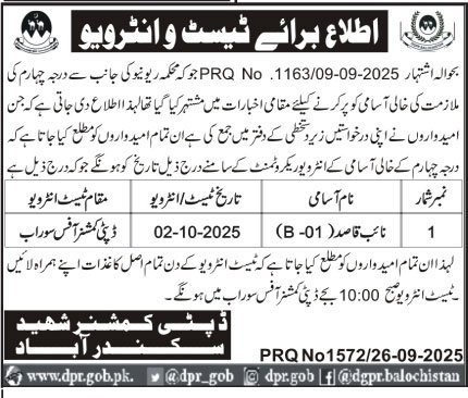 Test And Interviews For Jobs At Deputy Commissioner Office – Revenue Department Balochistan Jobs 2025 — original advertisement