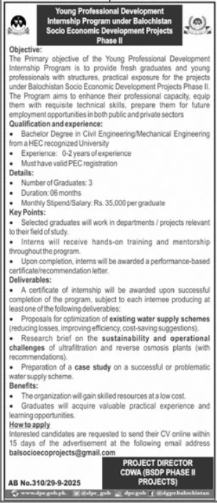 Young Professional Development Internship Program 2025 – Public Sector Organization Jobs 2025 — original advertisement