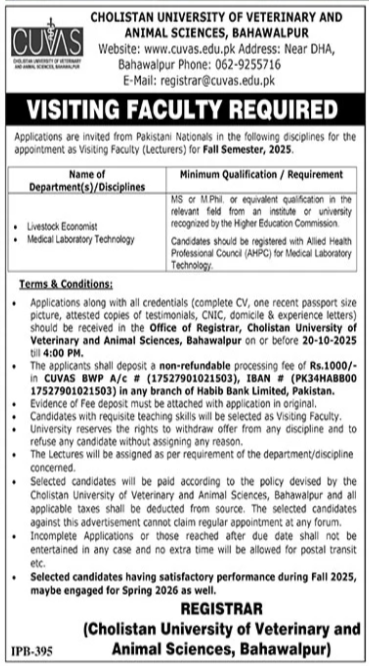 Cholistan University Of Veterinary & Animal Sciences Jobs – Cholistan University of Veterinary and Animal Sciences Bahawalpur Jobs 2025 — original advertisement