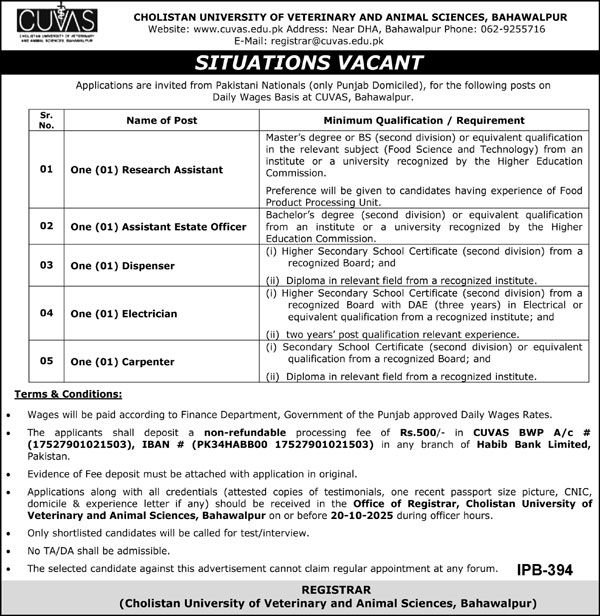 Cholistan University of Veterinary and Animal Sciences Jobs – University of Veterinary and Animal Sciences Lahore Jobs 2025 — original advertisement