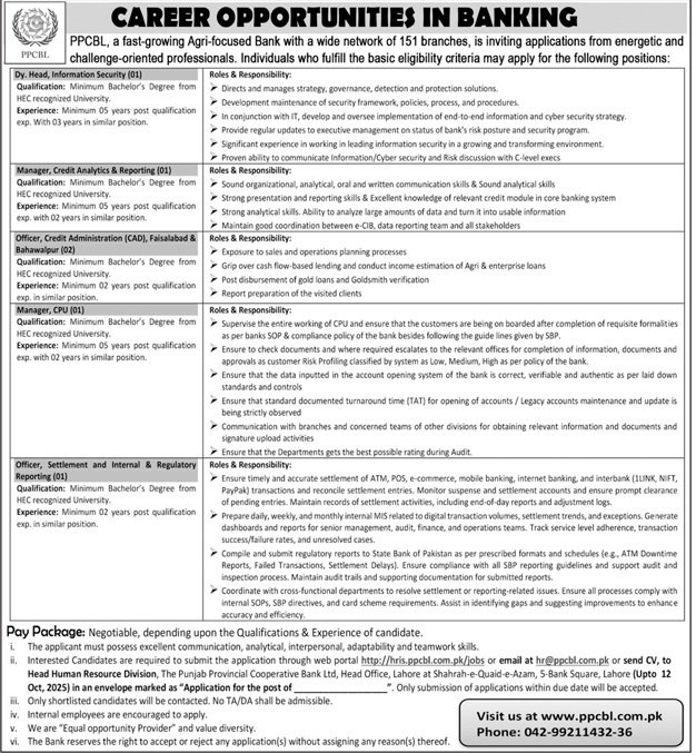 Punjab Provincial Cooperative Bank Limited Jobs 2025 – The Punjab Provincial Cooperative Bank Jobs 2025 — original advertisement
