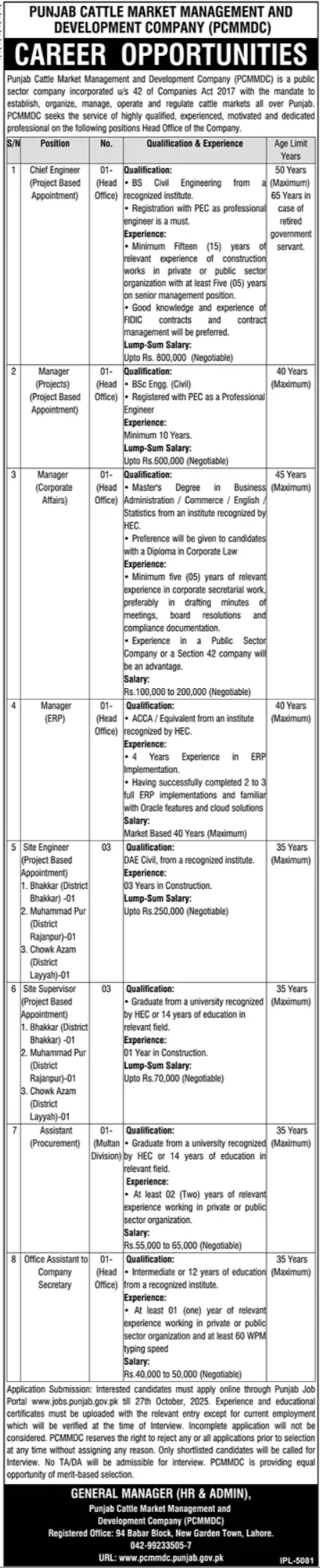 Punjab Cattle Market Management & Development Company Jobs – Private Company Jobs 2025 — original advertisement