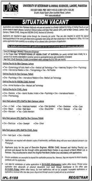University Of Veterinary & Animal Sciences Lahore Jobs 2025 – University of Veterinary and Animal Sciences Lahore Jobs 2025 — original advertisement