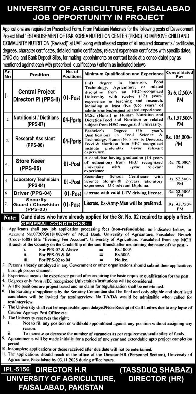 University of Agriculture Faislabad Jobs 2025 – University of Agriculture Faisalabad Jobs 2025 — original advertisement