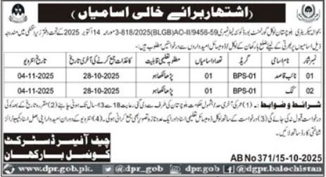 District Council DC Barkhan Jobs 2025 For Naib Qasid Jobs 2025 — original advertisement