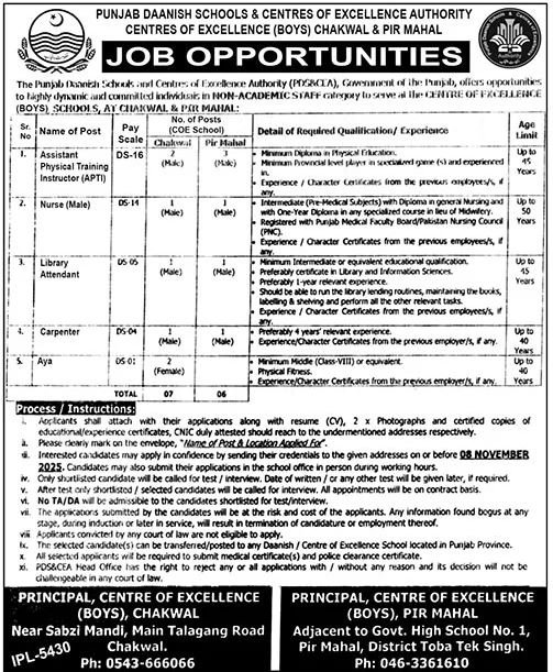 Punjab Daanish Schools Chakwal Jobs 2025 Jobs 2025 — original advertisement