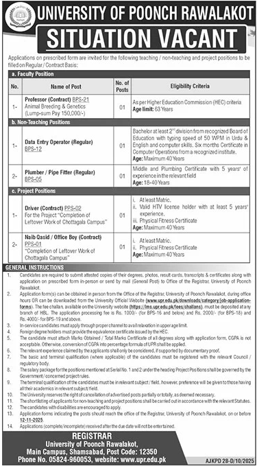 The University Of Poonch Rawalakot Jobs 2025 Jobs 2025 — original advertisement