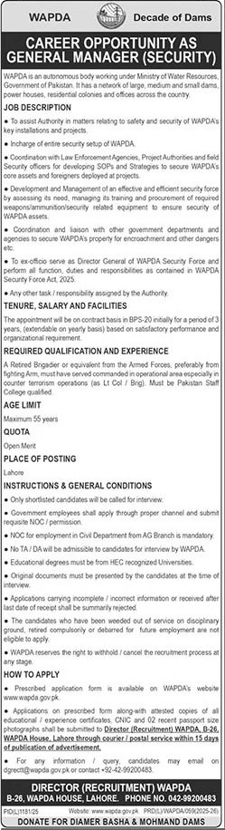 Water And Power Development Authority Wapda Jobs 2025 Jobs 2025 — original advertisement