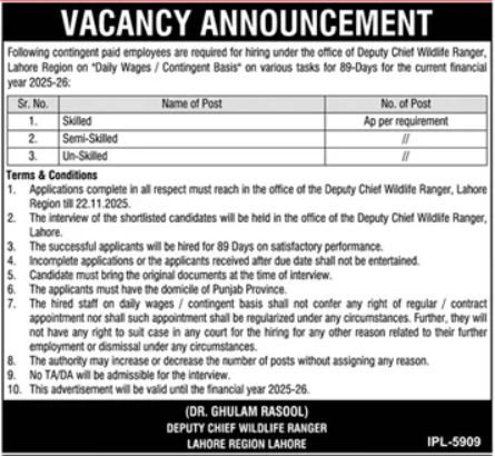 Deputy Chief Wildlife Ranger Lahore Jobs 2025 – Public Sector Organization Jobs 2025 — original advertisement