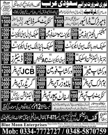 Workshop Manager & Concrete Mixer Driver Jobs 2025 – Blue Moon Enterprises Jobs 2025 — original advertisement