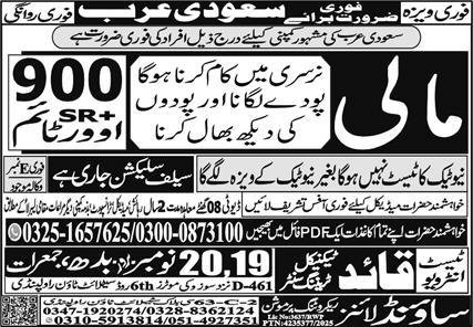 Mali Jobs in Saudia Arabia 2025 – Sound Lines Recruiting Promotion Jobs 2025 — original advertisement