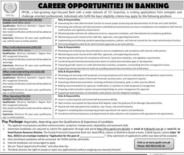 The Punjab Provincial Cooperative Bank Ltd Jobs 2025 Jobs 2025 — original advertisement