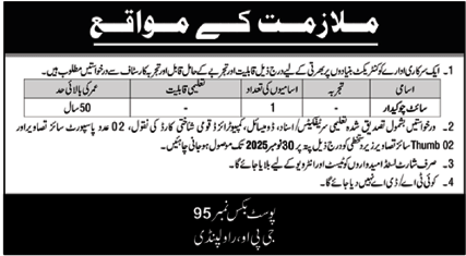 Government Organization Rawalpindi Job 2025 – Public Sector Organization Jobs 2025 — original advertisement