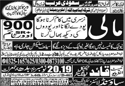 Gardener & Mali Jobs 2025 In Saudi Arabia – Sound Lines Recruiting Promotion Jobs 2025 — original advertisement