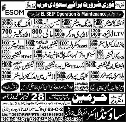 Finishing Carpenter And Mason Jobs In Saudi Arabia – Sound Lines Recruiting Promotion Jobs 2025 — original advertisement