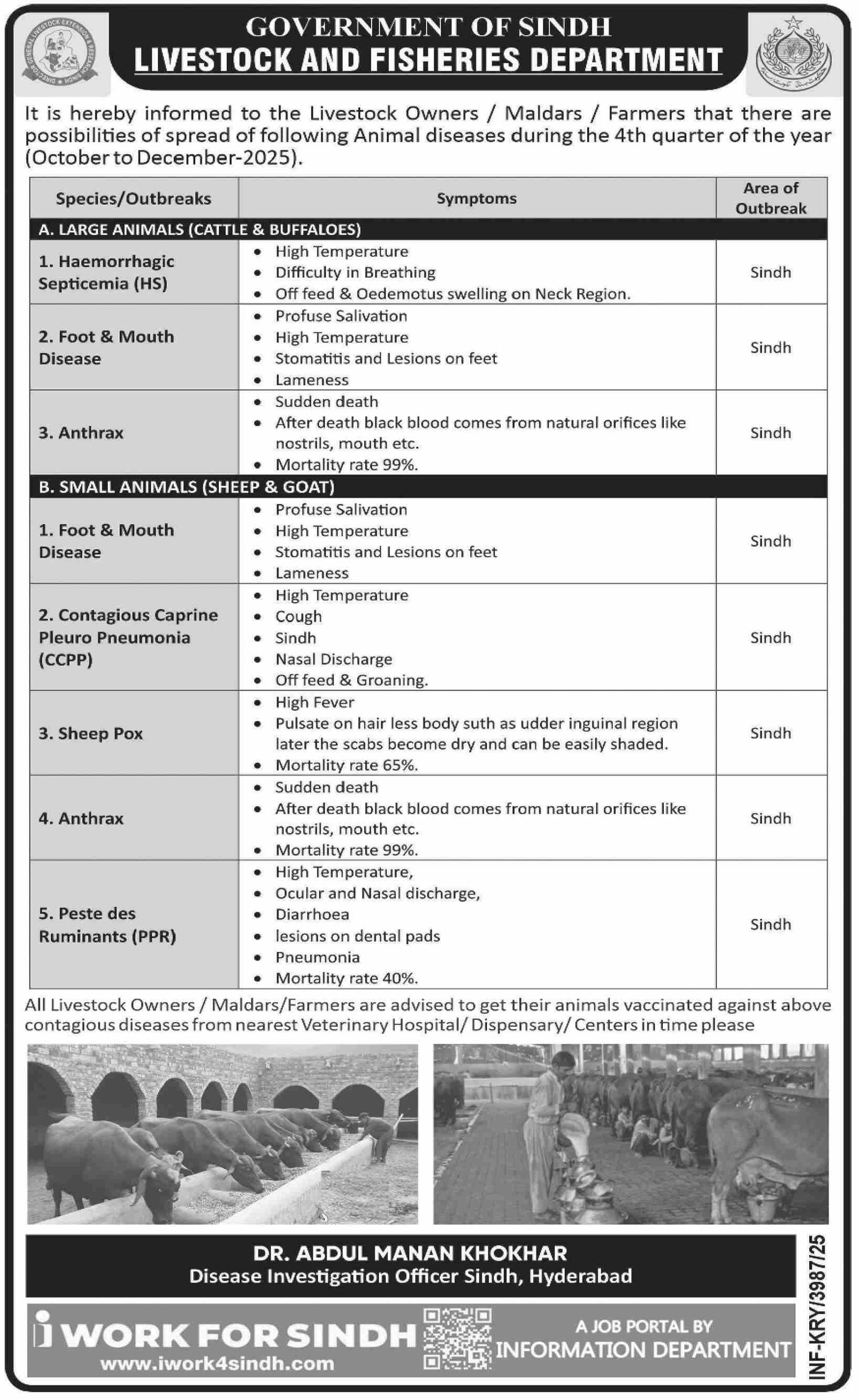 Livestock And Fisheries Department Sindh Jobs 2025 Jobs 2025 — original advertisement