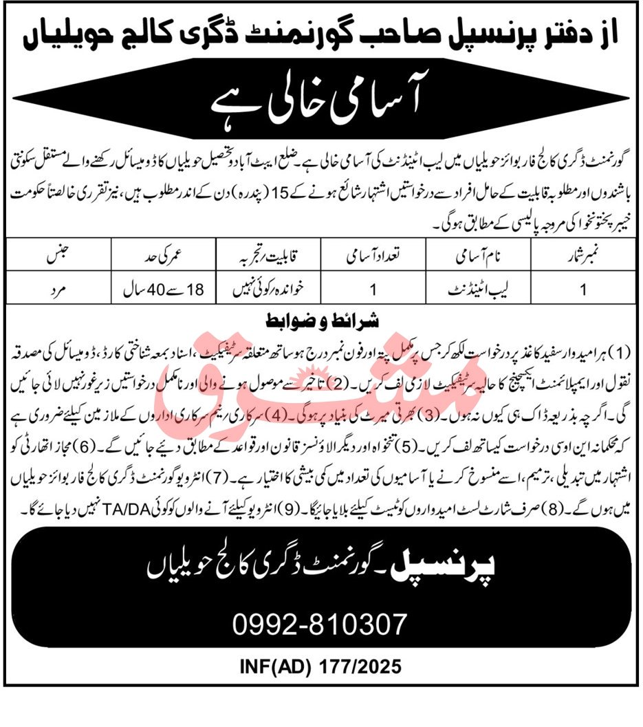 Government Degree College Havelian Jobs 2025 – Public Sector Organization Jobs 2025 — original advertisement
