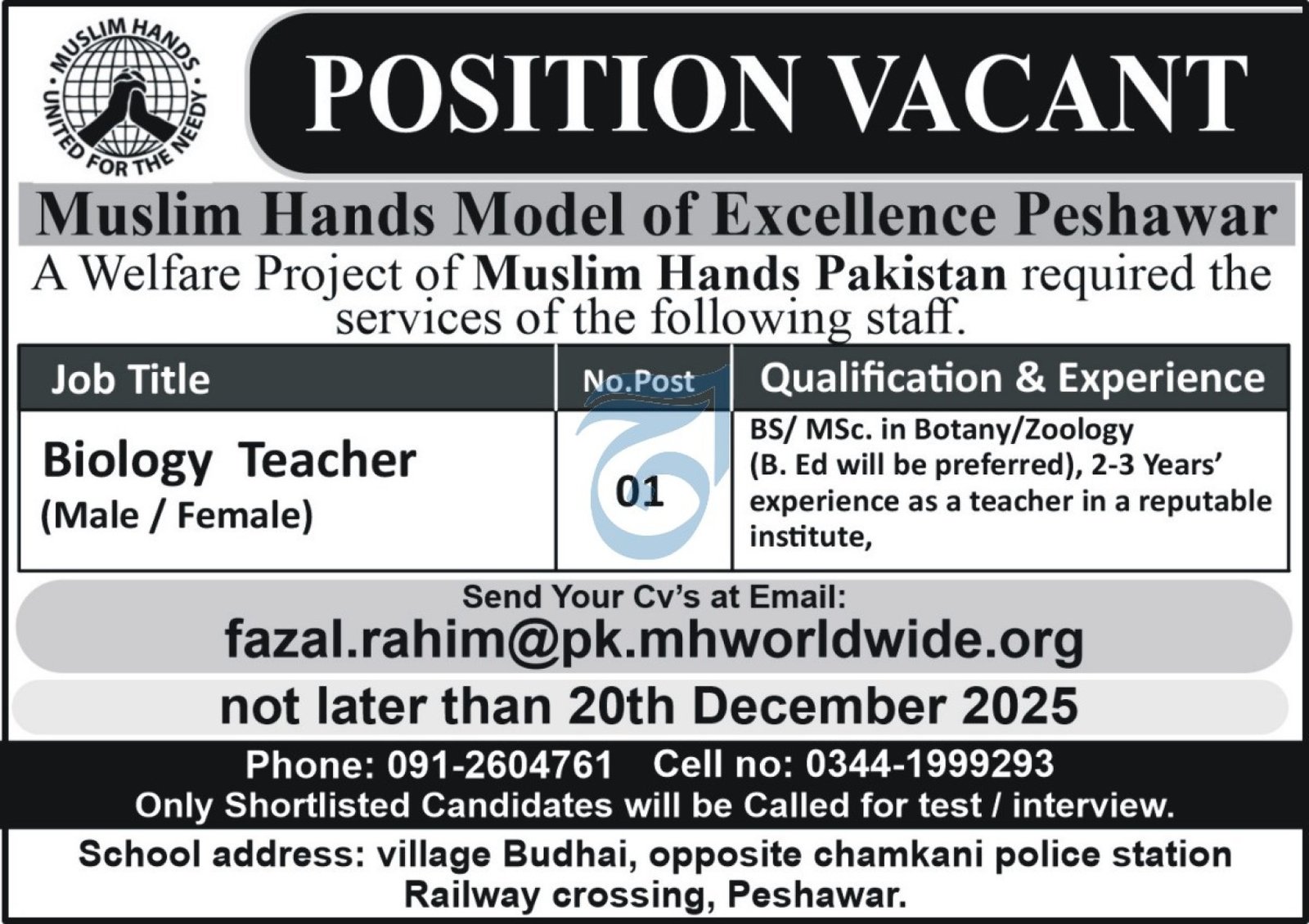 Muslim Hands Model of Excellence Peshawar Jobs 2025 Jobs 2025 — original advertisement