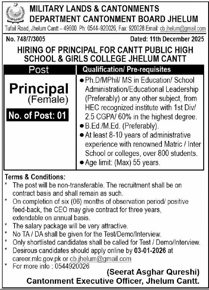 Cantt Public High School And Girls College Jobs 2025 – Cant Public High School & Girls College Jobs 2025 — original advertisement